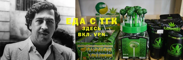 индика Каменка