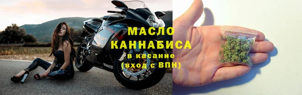индика Каменка