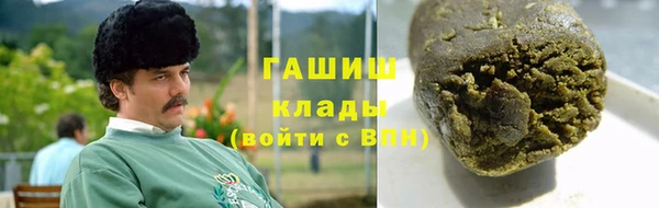индика Каменка