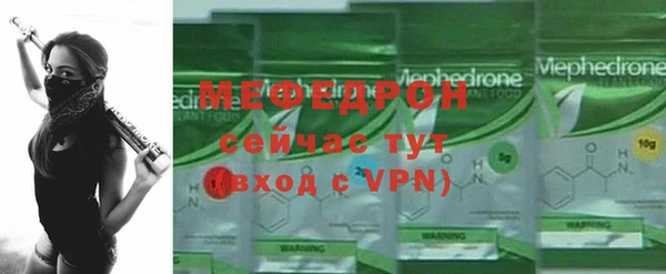 индика Каменка