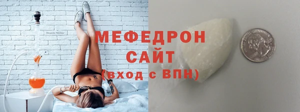 индика Каменка