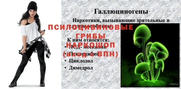 индика Каменка