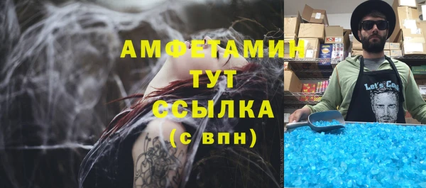 индика Каменка