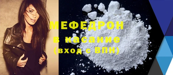 индика Каменка