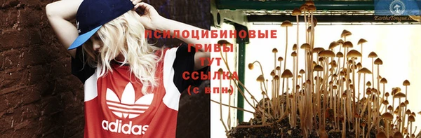 хмурый Карпинск