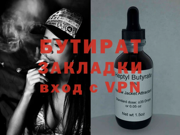 индика Каменка