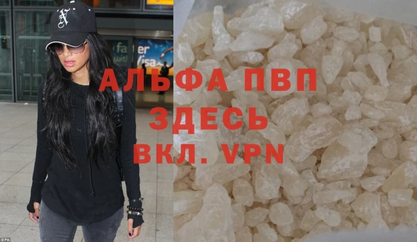 индика Каменка