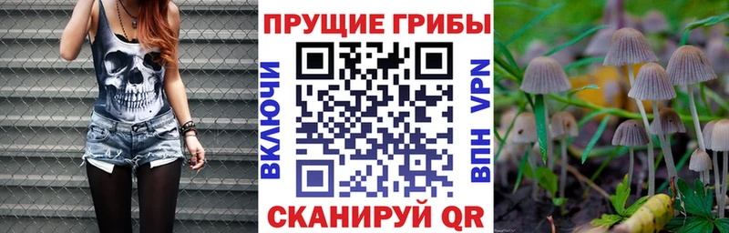 Псилоцибиновые грибы прущие грибы  Купить где  Лениногорск 
